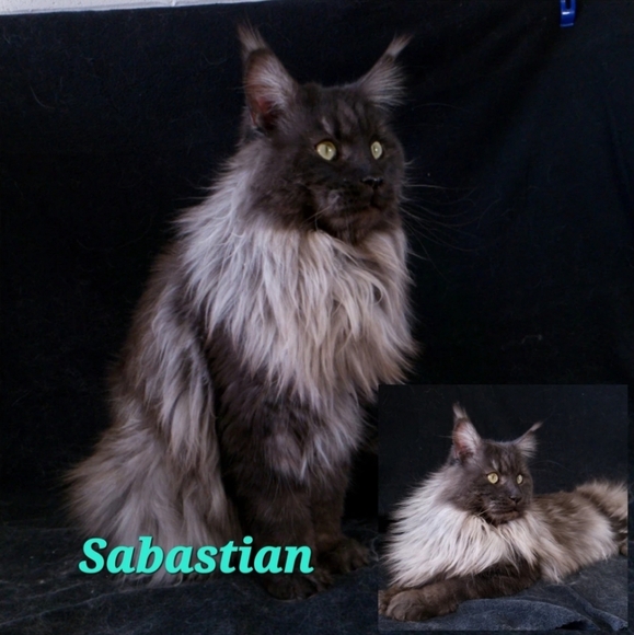 Meet your Posher, Sharon - Picture 11 of 12